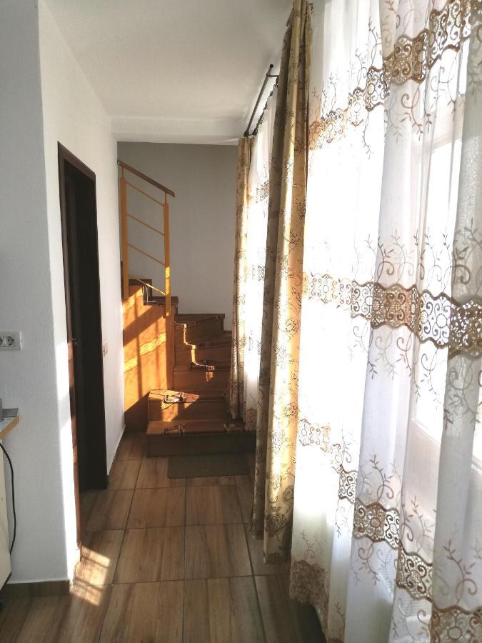 Ferienwohnung Antoniu Brașov Exterior foto